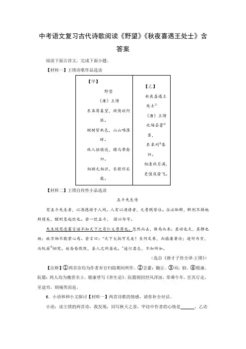 中考语文复习古代诗歌阅读《野望》《秋夜喜遇王处士》含答案