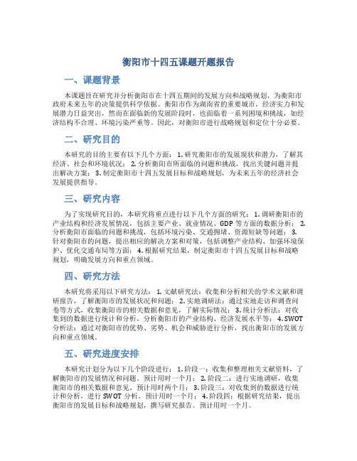 衡阳市十四五课题开题报告