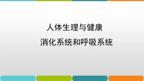 初中生物总复习——生物的呼吸与呼吸作用(人体呼吸,绿色植物的呼吸作用等)课件