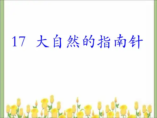 17  大自然的指南针