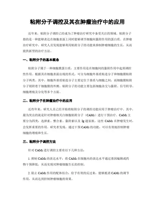 粘附分子调控及其在肿瘤治疗中的应用