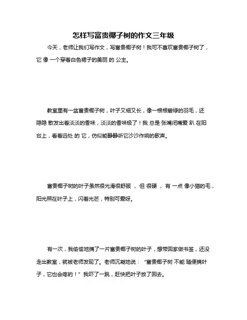 怎样写富贵椰子树的作文三年级