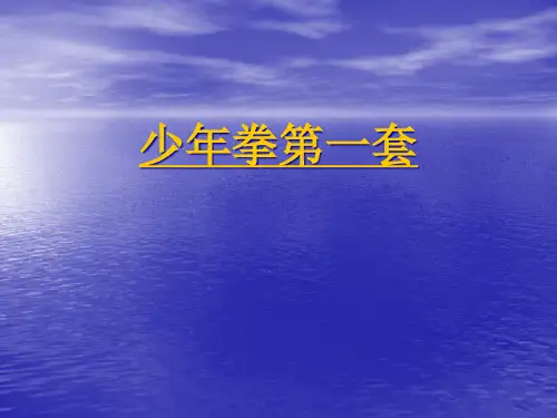 武术少年拳第一套1—4节(课件)体育五至六年级
