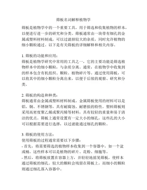 筛板名词解释植物学