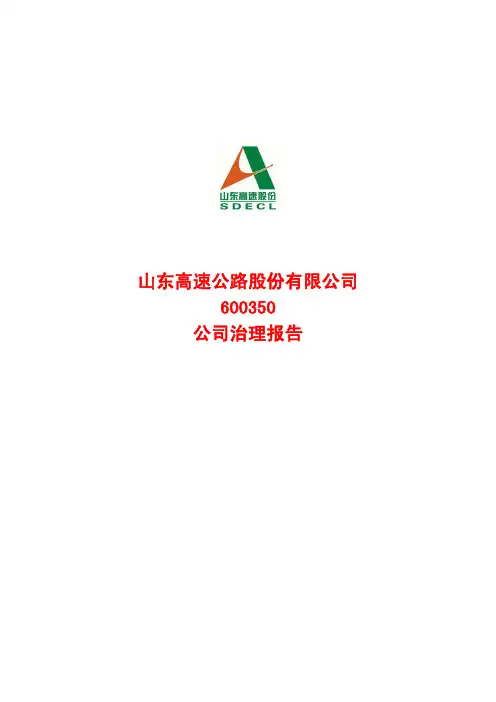 公司治理报告