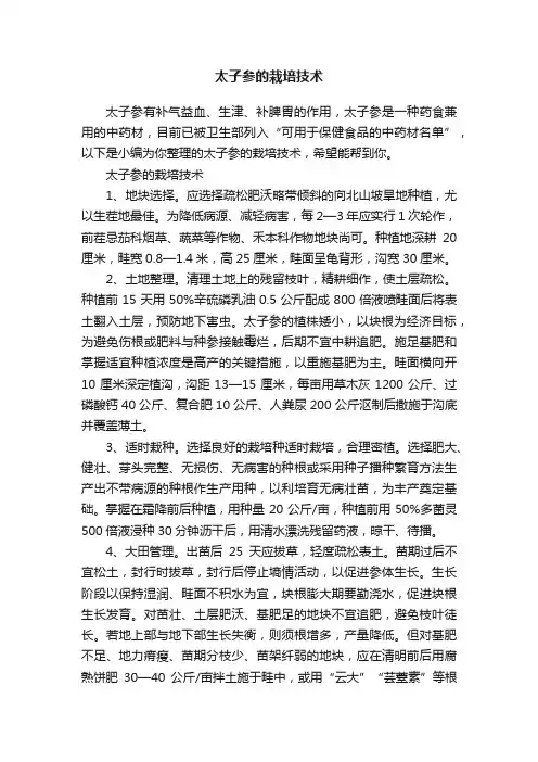 太子参的栽培技术