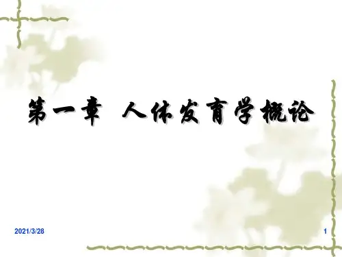 人体发育学第一章