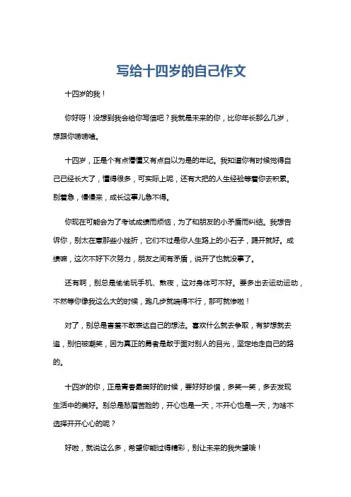 写给十四岁的自己作文