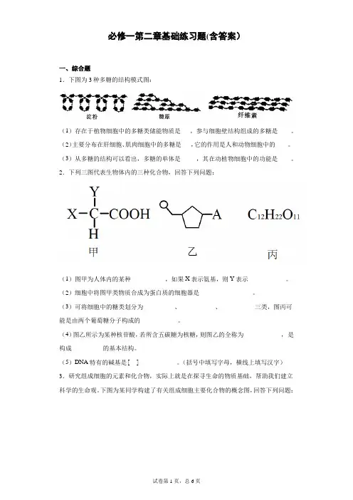 人教版高中生物必修一第2章基础练习题2022年夏季高考第一轮复习题