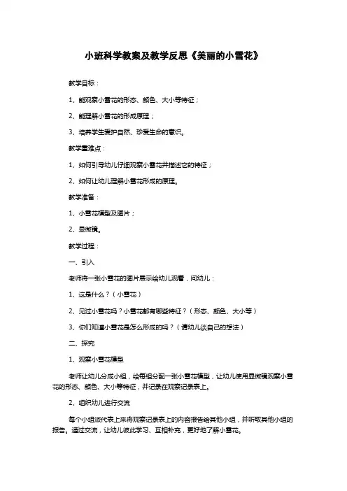 小班科学教案及教学反思《美丽的小雪花》