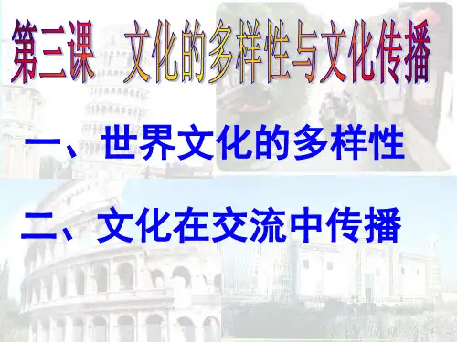 文化的多样性与文化传播PPT课件 人教课标版