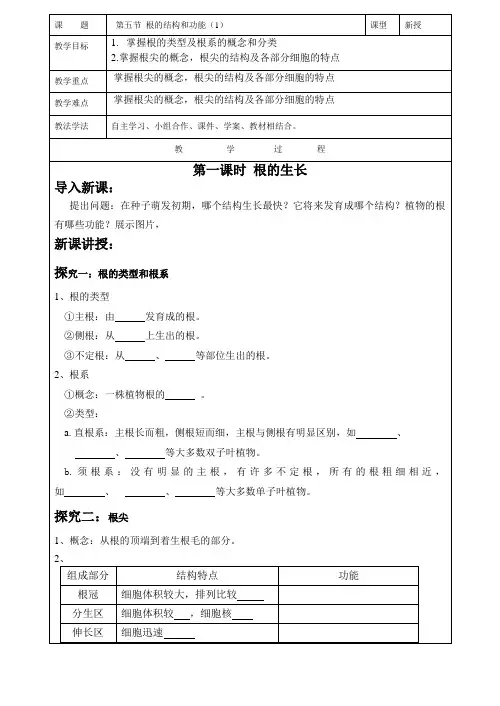 根的结构与功能(第1课时)教学案济南版生物八年级上册