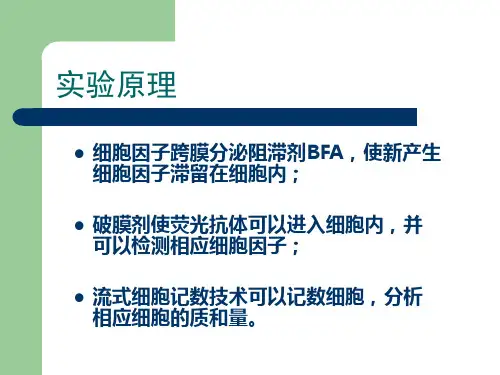 细胞内细胞因子染色法07