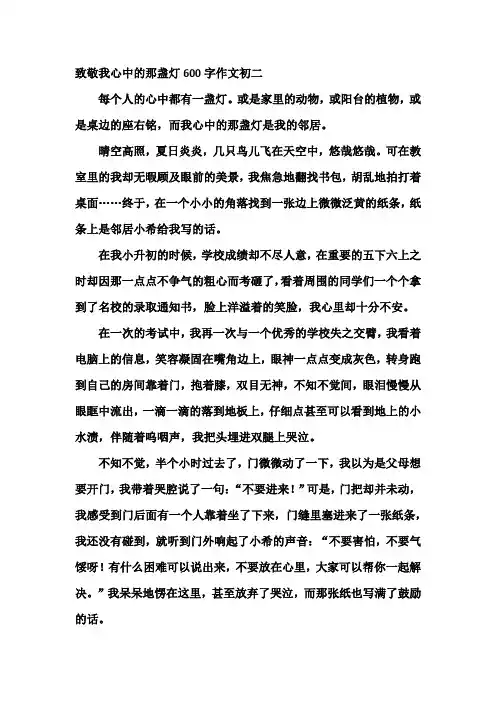 致敬我心中的那盏灯600字作文初二