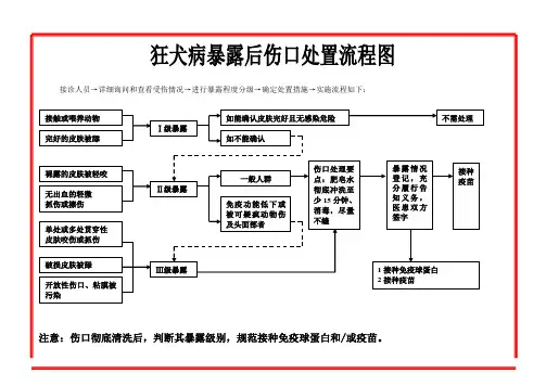 狂犬病暴露后处置流程图