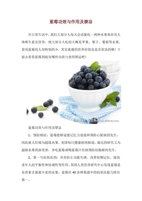 蓝莓功效与作用及禁忌