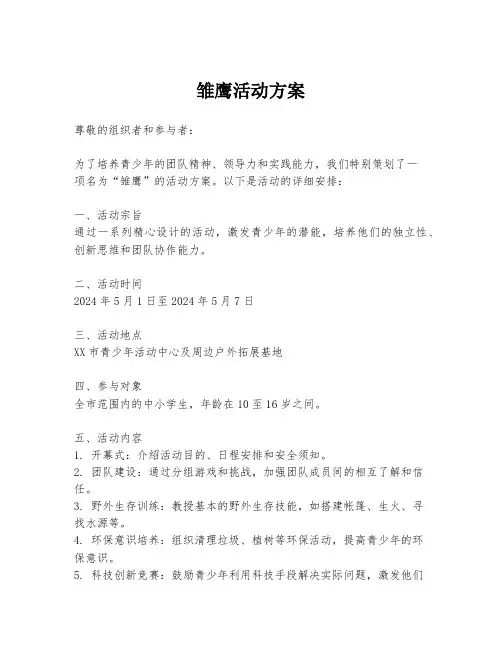 雏鹰活动方案