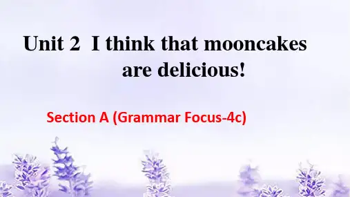 人教版九年级英语全册Unit 2 Section A (Grammar Focus-4c)课件