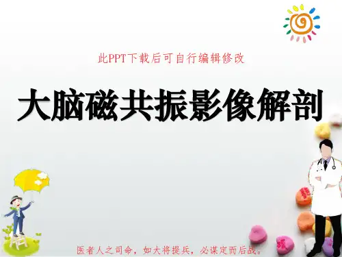 大脑磁共振影像解剖PPT课件