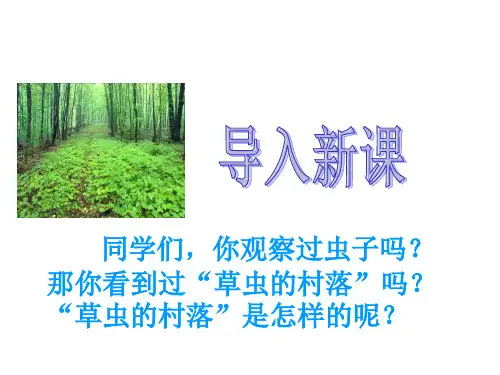 草虫的村落PPT课件