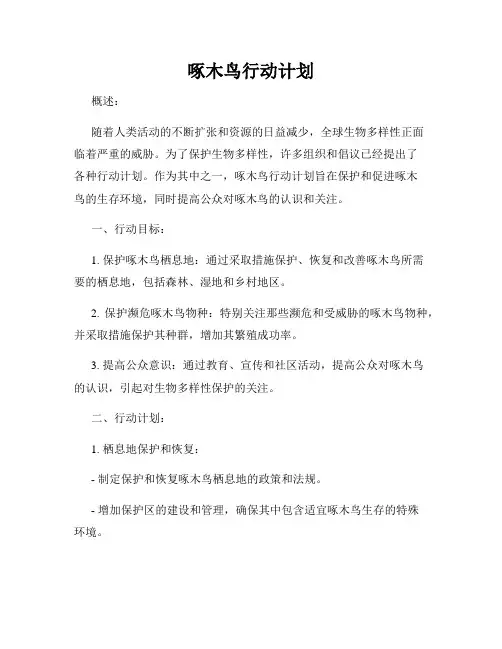 啄木鸟行动计划