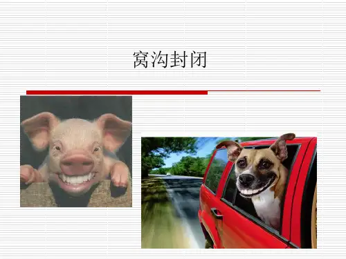 窝沟封闭