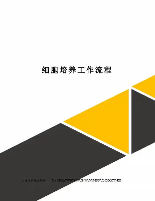 细胞培养工作流程