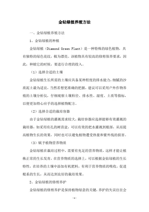 金钻绿植养殖方法
