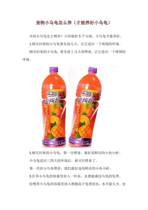 宠物小乌龟怎么养(才能养好小乌龟)