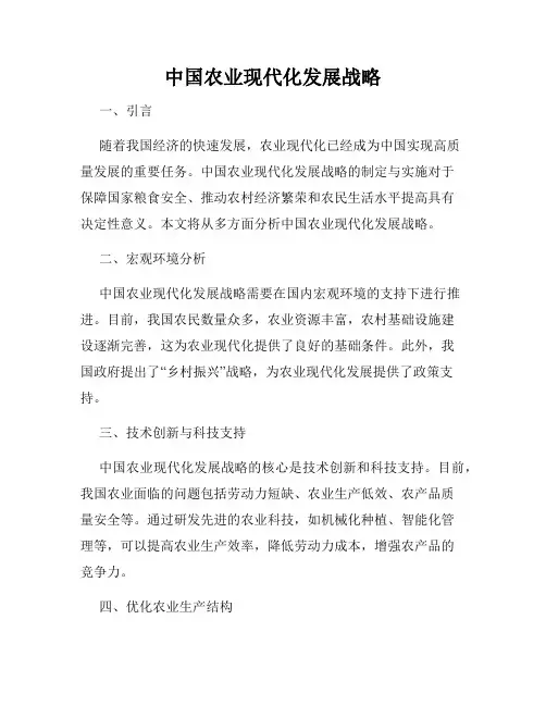 中国农业现代化发展战略