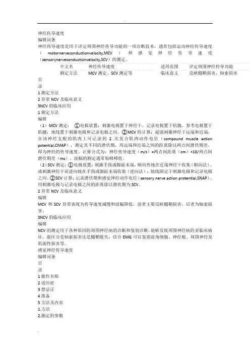 神经传导速度