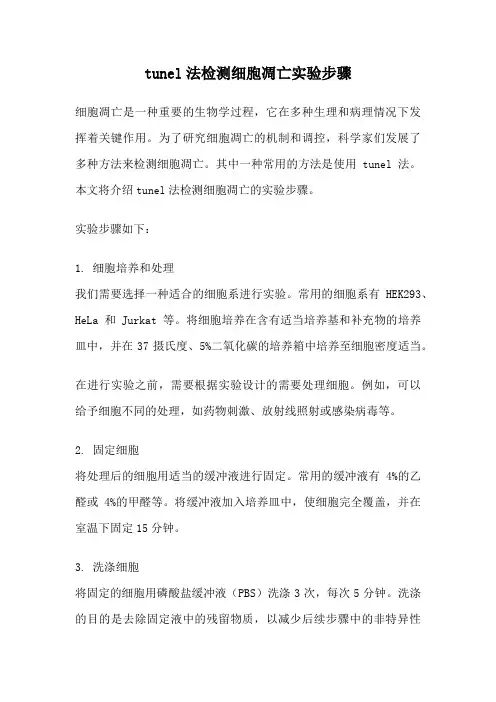 tunel法检测细胞凋亡实验步骤