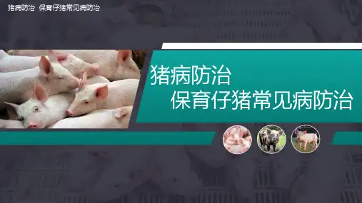 【猪病防治课件】猪弓形虫病防治
