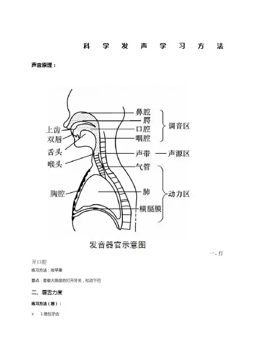 科学发声学习方法