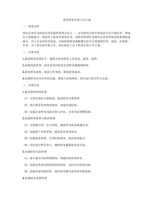 国企财务年度工作计划