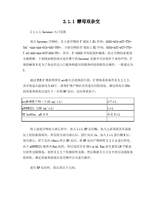酵母双杂实验步骤