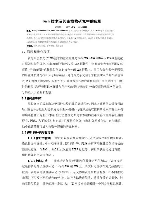 Fish技术及其在植物研究中的应用
