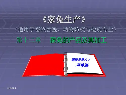 家兔生产