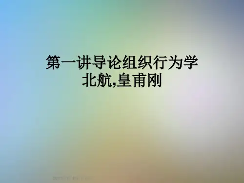 第一讲导论组织行为学北航,皇甫刚