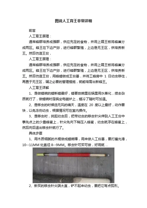 图说人工育王非常详细