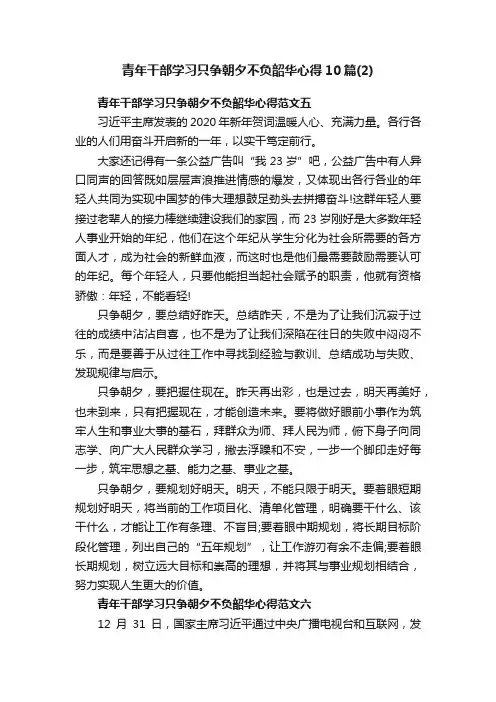 青年干部学习只争朝夕不负韶华心得10篇（2）