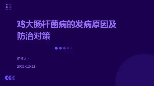 鸡大肠杆菌病的发病原因及防治对策