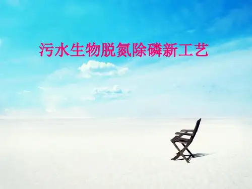 PPT教学课件污水脱氮除磷研究进展