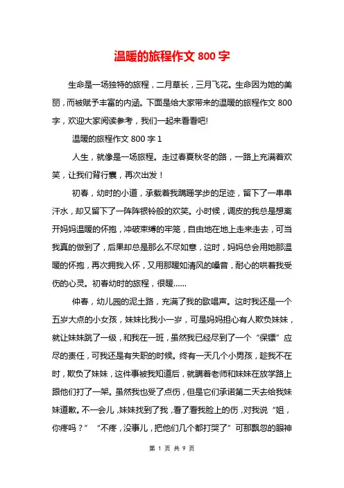 温暖的旅程作文800字