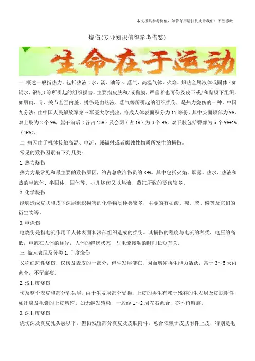 烧伤(专业知识值得参考借鉴)