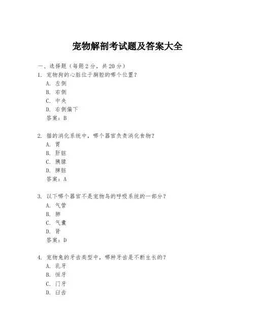 宠物解剖考试题及答案大全