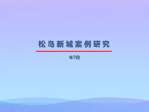 产业新城产业规划松岛新城案例研究-精品资料PPT