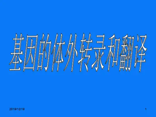分子生物学：基因的体外转录和翻译ppt课件