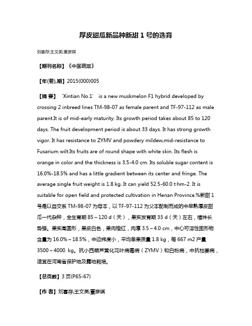 厚皮甜瓜新品种新甜1号的选育