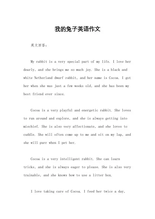 我的兔子英语作文